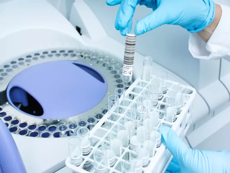 Czym jest materiał genetyczny?