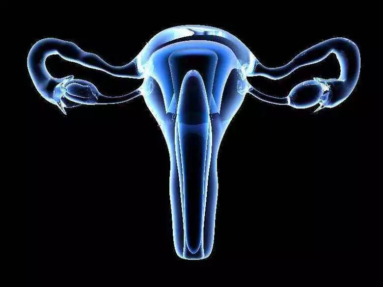 Fizjologia cyklu miesięcznego kobiety