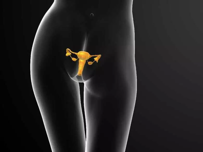 Torbiel jajnika – czy jest się czego bać?