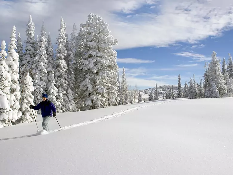 Dbajmy o zdrowie zimą i jednocześnie czerpmy z tego radość